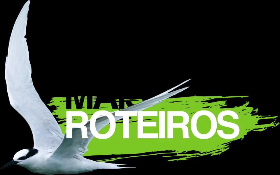 Menos rotina, mais aventura