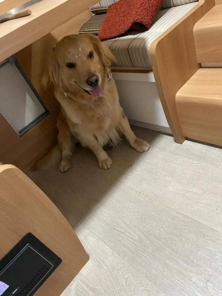 Vem aí 2º Encontro Easy Trailers aberto a todos, confira programação completa