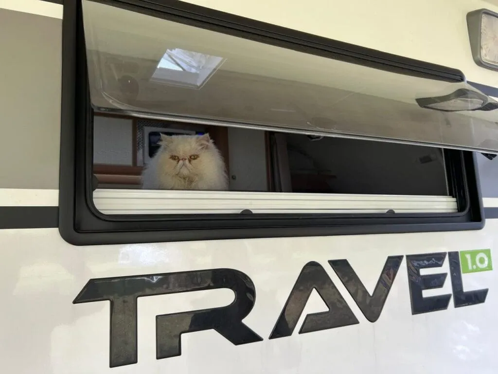 Vem aí 2º Encontro Easy Trailers aberto a todos, confira programação completa