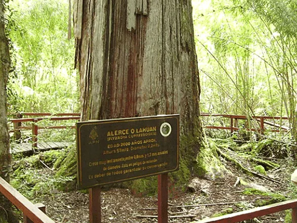Onde acampar na Argentina, o que comer, o que fazer