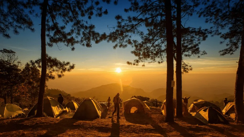 Lugares para acampar no verão: estes são incríveis